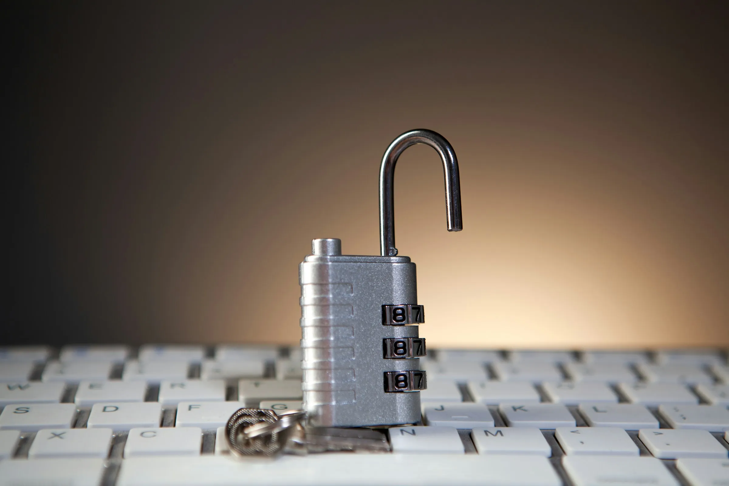 NPMplus & CrowdSec: Mehr als nur ein Reverse Proxy